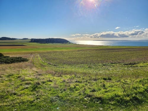 green prairie with a small section of trees leading to open water with a blue sky above