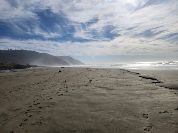 Finding the Way Back