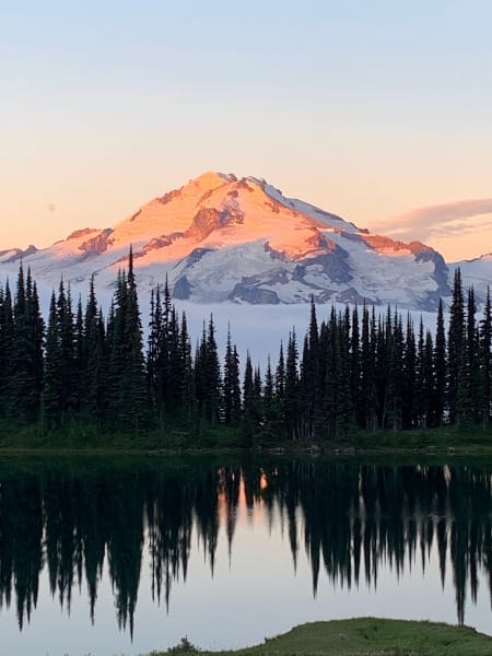 When War Knocked on the Wilderness Door