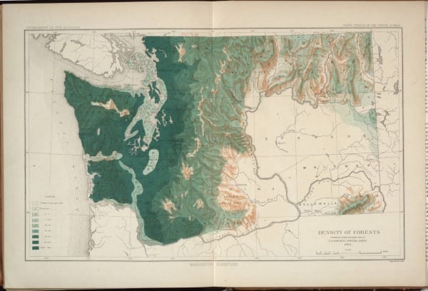 Tracking Forests