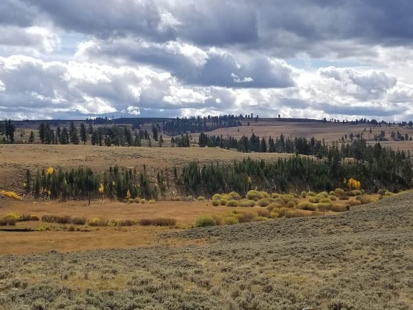 Will the History of Public Lands Matter?