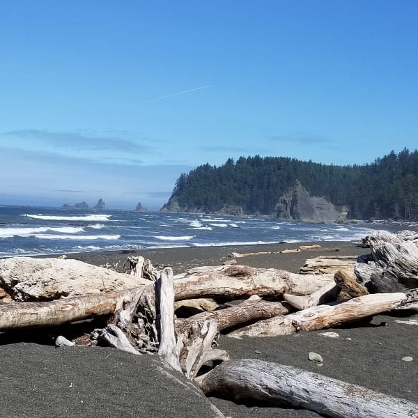 The Untrammeled Beach