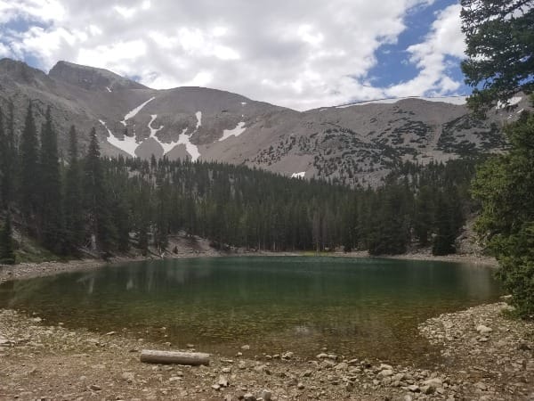 Speaking a Word for Beauty