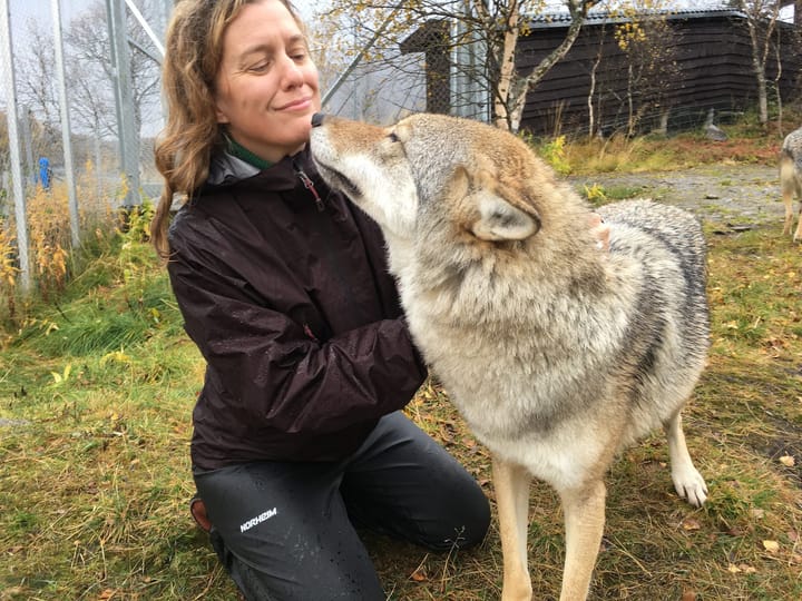 Weaving Complex Conservation Together