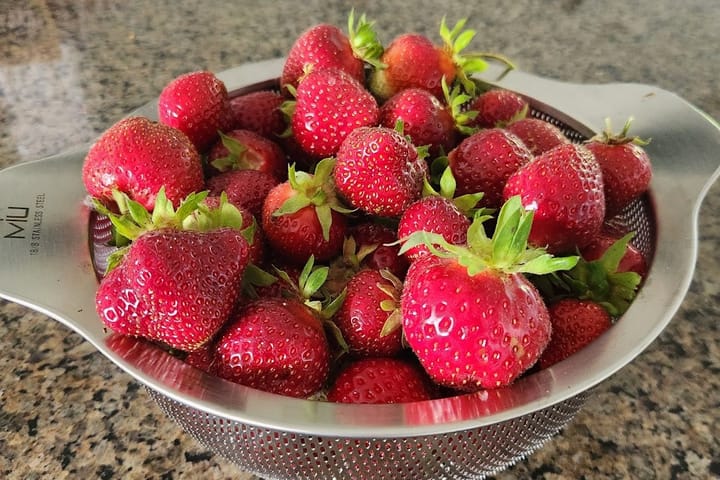 Berries and Organic Growth