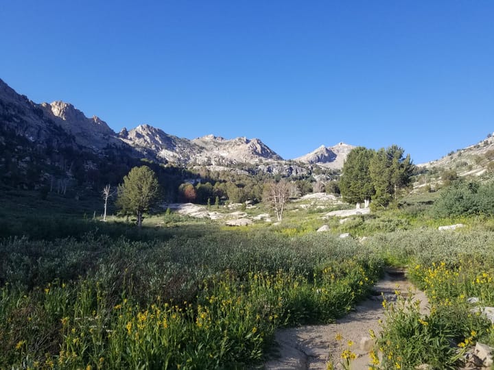 Take a Hike!