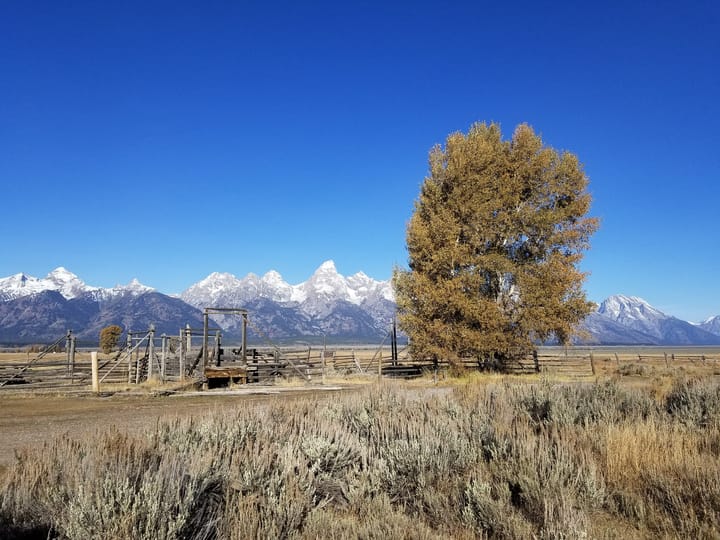 National Elk Refuge and the Nature of Property