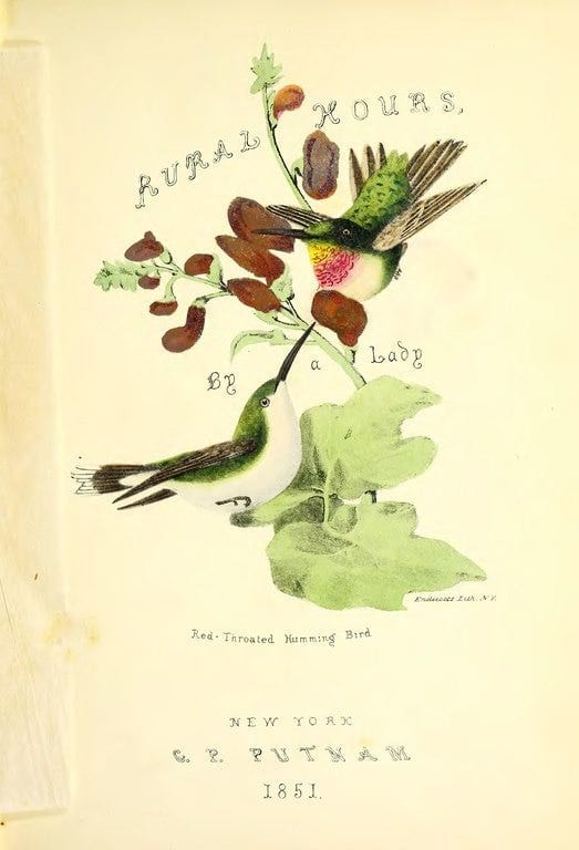 Into Spring with Susan Fenimore Cooper