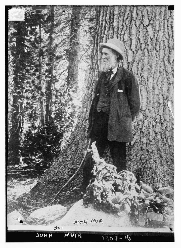 Surveying John Muir Surveying Western Parks and Forests