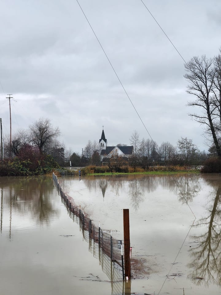 Flooding Memories
