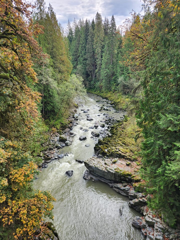 Constancy and Cycles in the Natural World