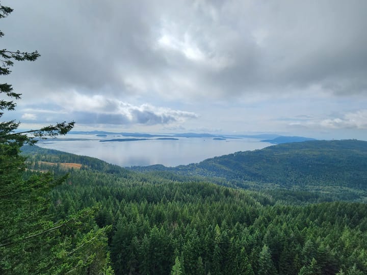 Oyster Dome on the Shoulder Season