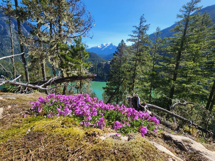 The North Cascades--vision and compromise: Taking Bearings (The Classroom) by Adam M. Sowards - Issue #2