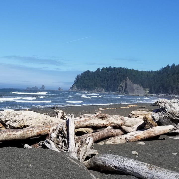 The Untrammeled Beach: Taking Bearings (The Field Trip) by Adam M. Sowards - Issue #11