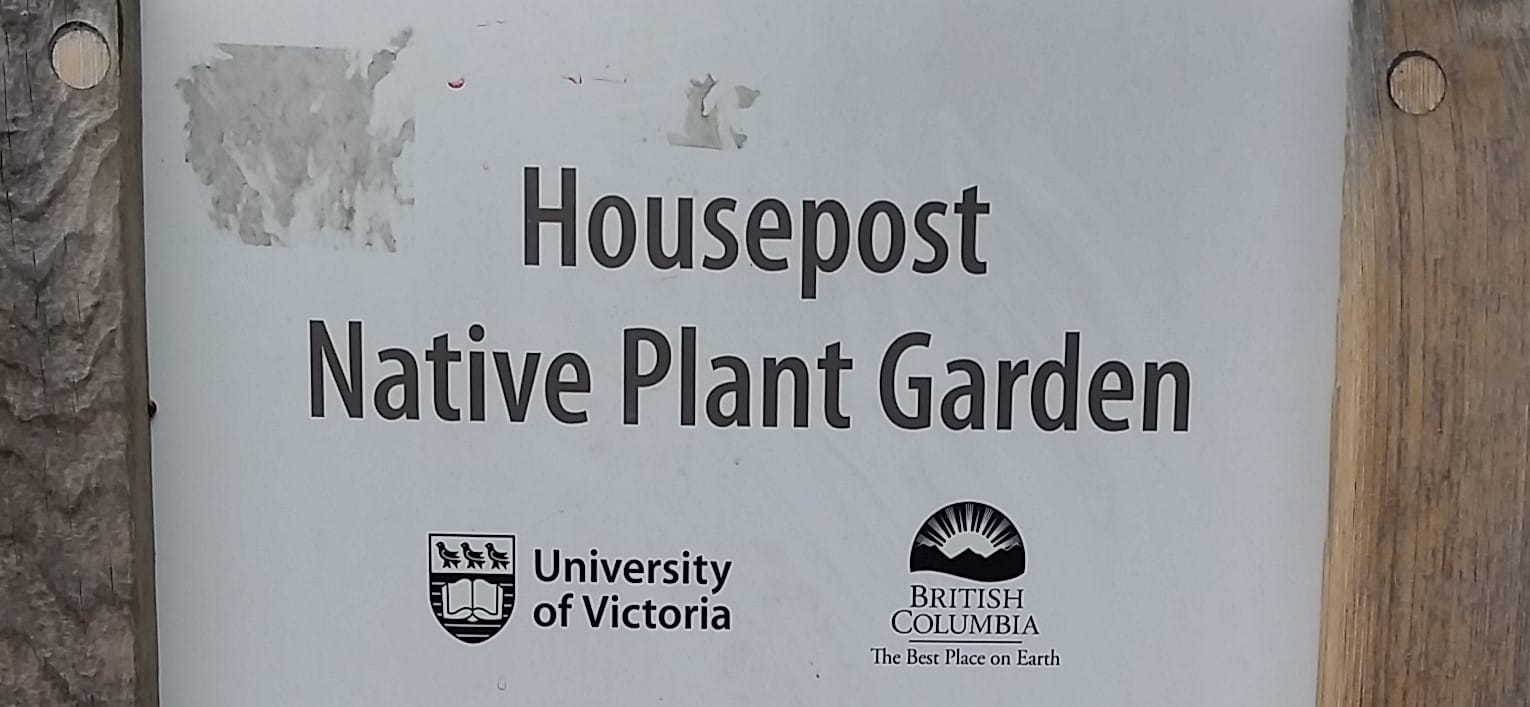 Native Garden
